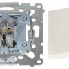 DUBULTĀ KOMANDPOGA DP2.01/11-SIMON54 250&nbsp;V 10&nbsp;A