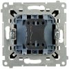 Одноклавишный переключатель DW1A.01/49-SIMON54 250В 16А
