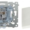 ДВОЙНОЙ ВЫКЛЮЧАТЕЛЬ DW5.01/11-SIMON54 250В 10А
