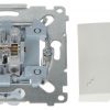 Двухклавишный переключатель DW6.01/11-SIMON54 250В 10А