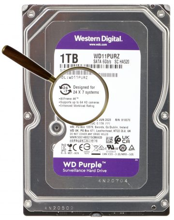 VDIGITĀLĀ VIDEOIERAKSTĪTĀJA DISKS HDD-WD11PURZ 1TB 24/7 WESTERN DIGITAL