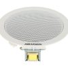 GRIESTU SKAĻRUNIS DS-QAE0203G1-V 3 W Hikvision