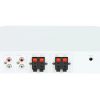 2 ZONU AUDIO PASTIPRINĀTĀJS DS-QAE0A60G1-VB 60 W Hikvision