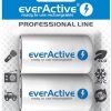 Аккумуляторные батареи D/R20 Ni-MH everActive 10000mAh Professional Line (2 шт.).