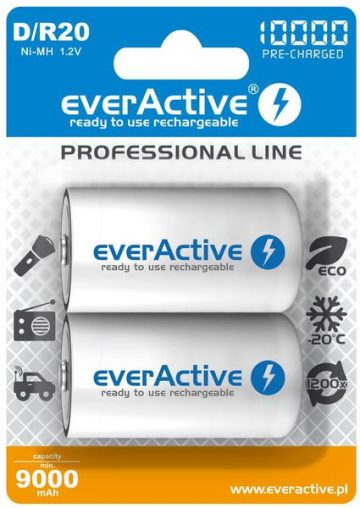Аккумуляторные батареи D/R20 Ni-MH everActive 10000mAh Professional Line (2 шт.).