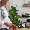 Reolink Argus PT Ultra 8MP Wi-Fi IP-камера с аккумулятором