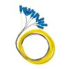 12X SC/UPC SM Pigtail