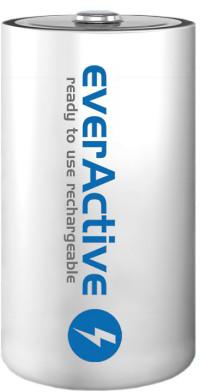 Аккумуляторные батареи D/R20 Ni-MH everActive 10000mAh Professional Line (2 шт.).