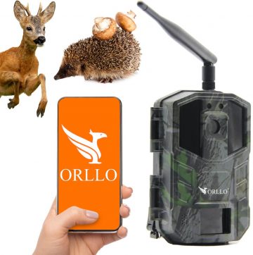 Orllo Huntercam 3 GSM meža kamera Fotopułapka