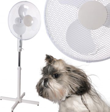 Püsiv ventilaator W-002 Valge