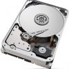 Seagate SkyHawk AI ST20000VE003 20TB cietais disks