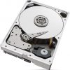 Seagate SkyHawk ST8000VX010 8TB kietasis diskas Seagate SkyHawk ST8000VX010 8TB kietasis diskas