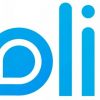 Reolink GO sērijas G450 IP kamera un saules bateriju panelis 2