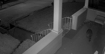 Reolink W320 5Mpix Wi-Fi P2P IP kamera melna