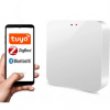 Kesklüüs ZigBee 3.0 + Bluetooth WIFI TUYA SMART Kesklüüs ZigBee 3.0 + Bluetooth WIFI TUYA SMART