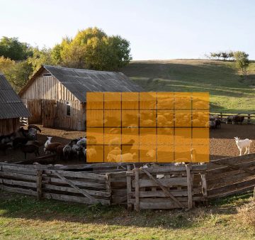 Imou Cell PT 4G komplekts 3MP akumulatora IP kamera ar saules paneli