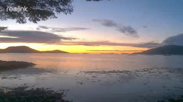 Reolink W320 5Mpix Wi-Fi P2P IP kamera melna