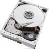 Seagate SkyHawk AI ST10000VE001 10TB cietais disks