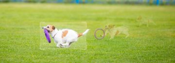 Imou Cruiser SC 5MP IP kamera IPC-K7FP-5H0WE