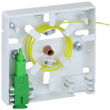 Fiber optic subscriber box 2X