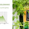 SMART DUAL WATERING VALVE TIMER WITH WIFI HUB TWG004WRF+TTV203WRF Tuya Smart RainPoint
