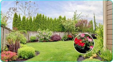 IP-камера Ezviz H5 PoE 2K 3MPx