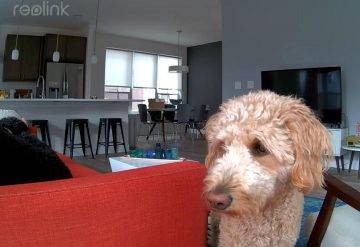 IP-камера Reolink E340 для помещений, вращающаяся, 5 Мпикс, WiFi, белая IP-камера Reolink E340 для помещений, вращающаяся, 5 Мпикс, WiFi, белая