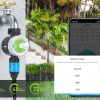SMART WATERING VALVE TIMER WITH WIFI HUB TTV102B+TWG009BW Tuya Smart RainPoint