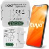 OXT mini relay module 1 circuit without N ZigBee TUYA