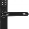 Дверная ручка с контроллером доступа EURA ELH-30H4 Black