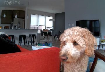 Reolink E340 IP kamera iekštelpām, rotējoša, 8MPx WiFi, balta