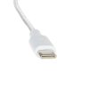 КАБЕЛЬ CHAR-CC-0.25M-100W USB-C/USB-C 0.25 м Delta Multimedia