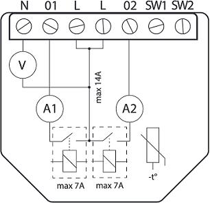 Šellija Kubino Vilnis plkst. 14:00Šellija Kubino Vilnis plkst. 14:00