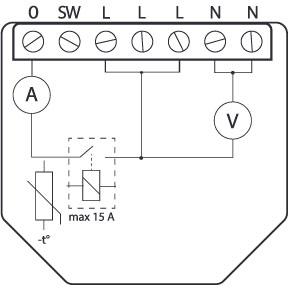 Šellija Kubino Vilnis 13:00Šellija Kubino Vilnis 13:00