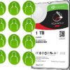 SEAGATE IronWolf ST1000VN008 1TB disks