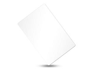 PROXIMITY CARD MIFARE RFID/11202601 2N